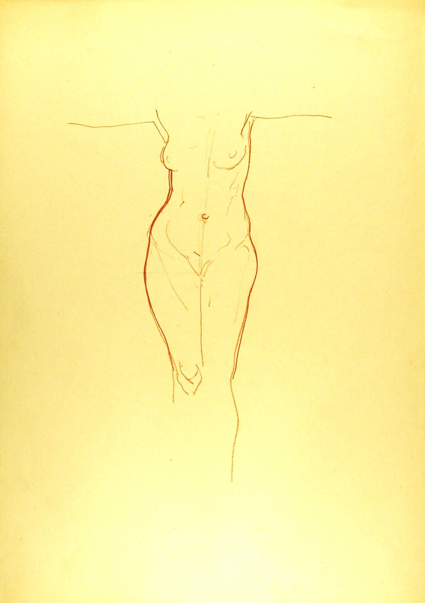 Standing Female Nude