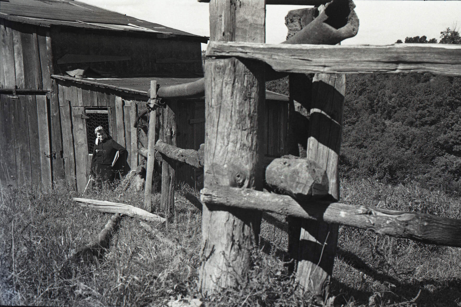 Untitled photographic negative (Virginia near barn and fence)