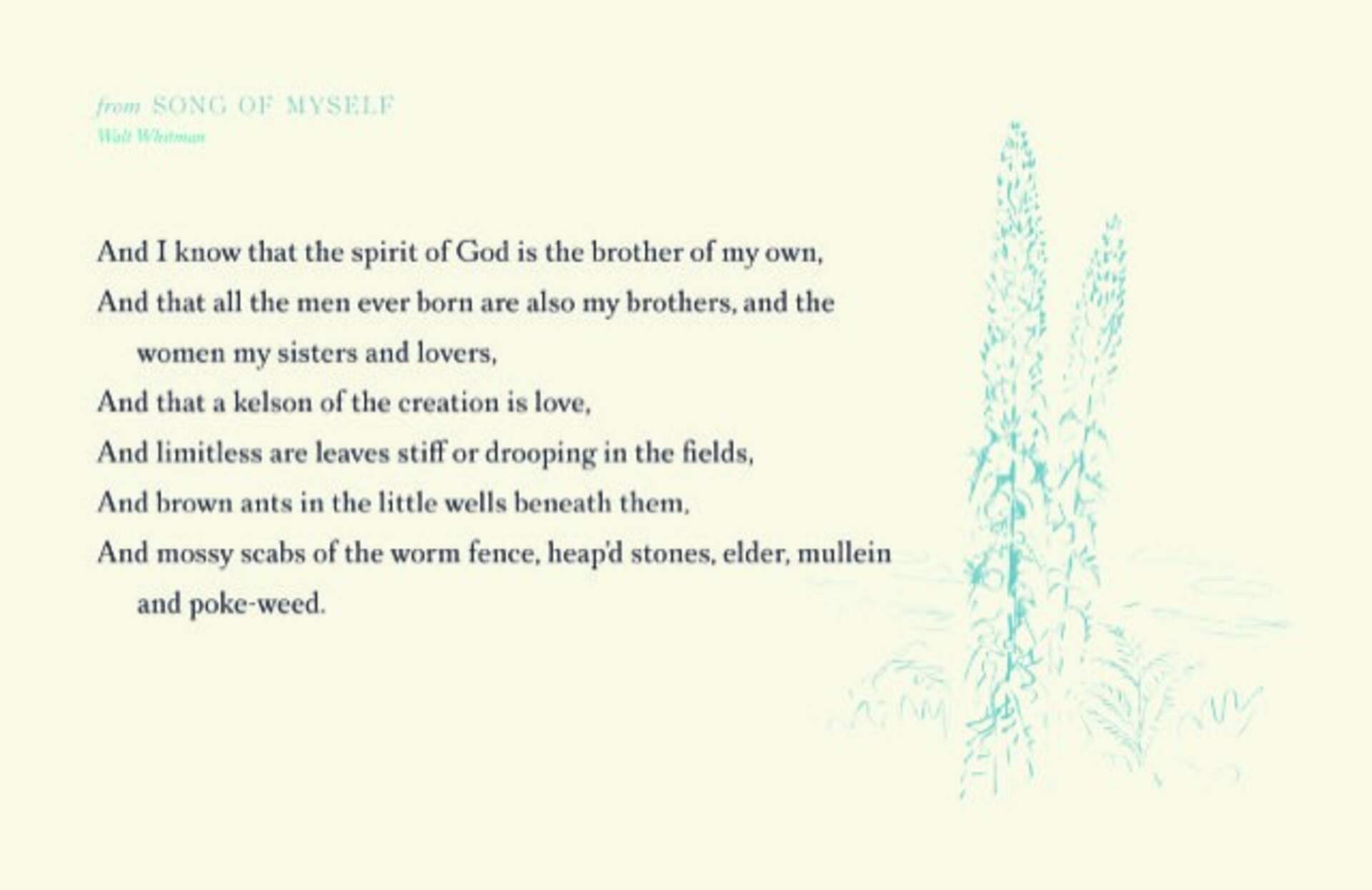 from Song of Myself - mullein