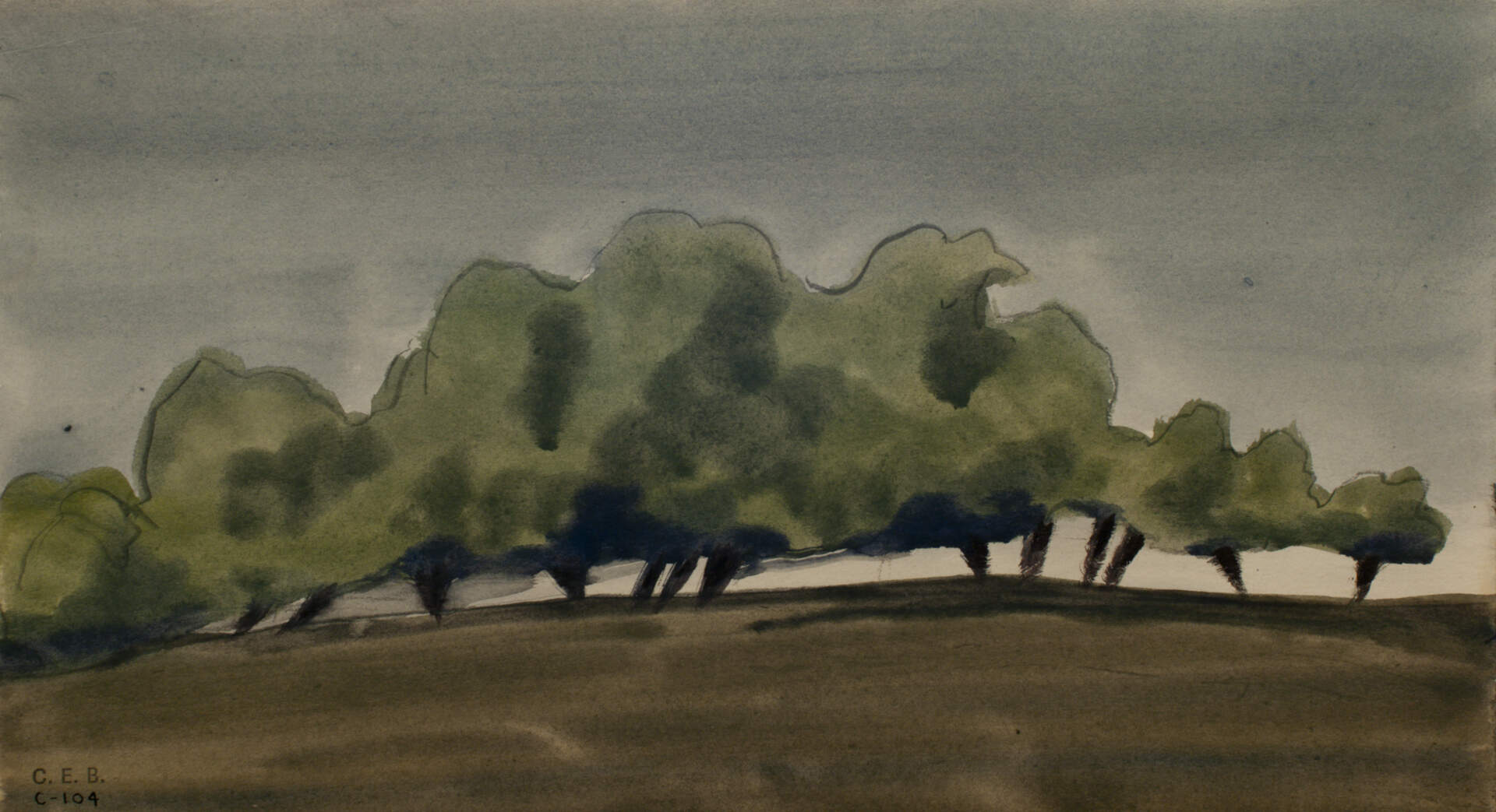 Tree Grove at Dusk