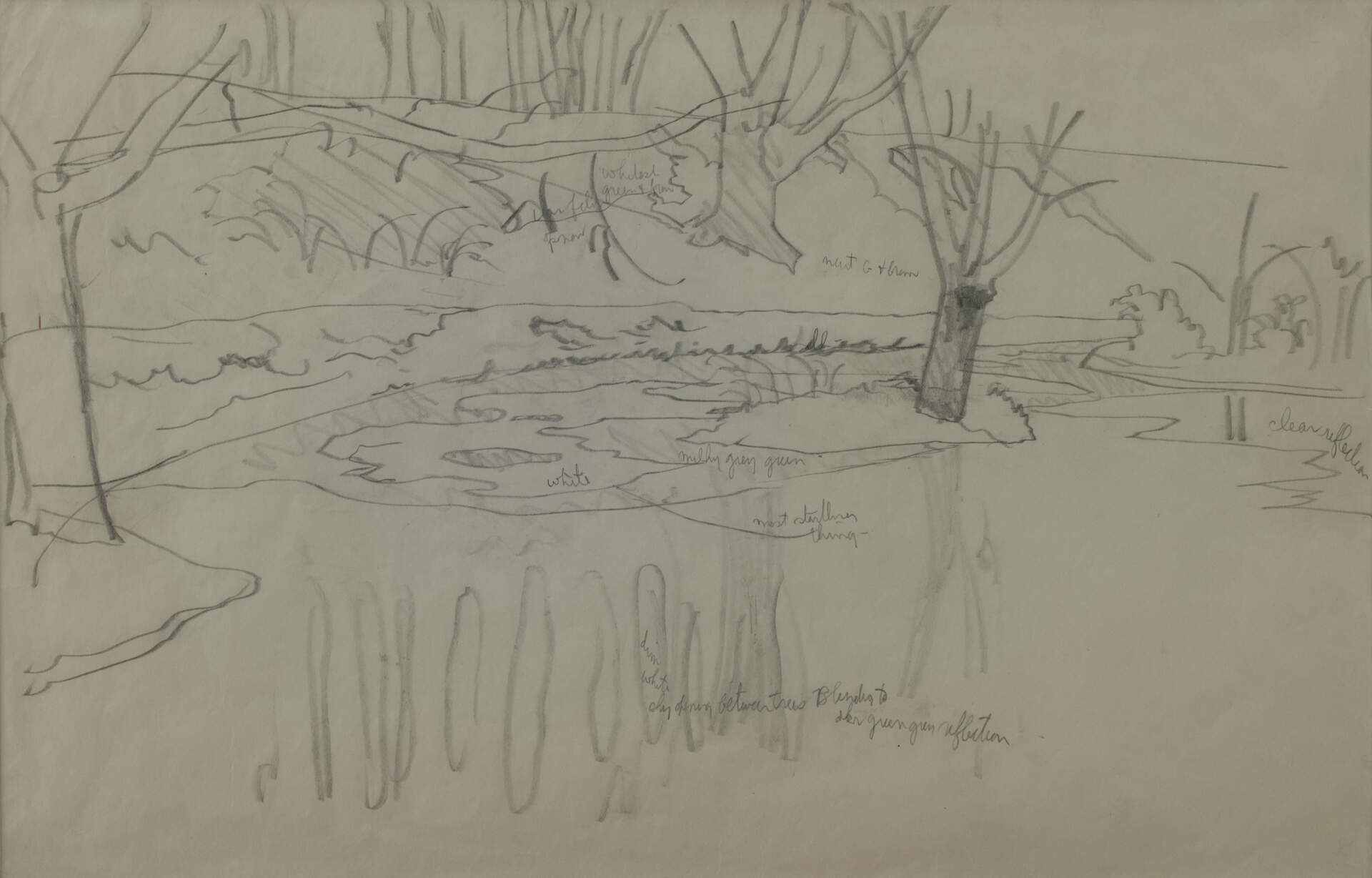 Untitled (Sky Opening Between Trees)