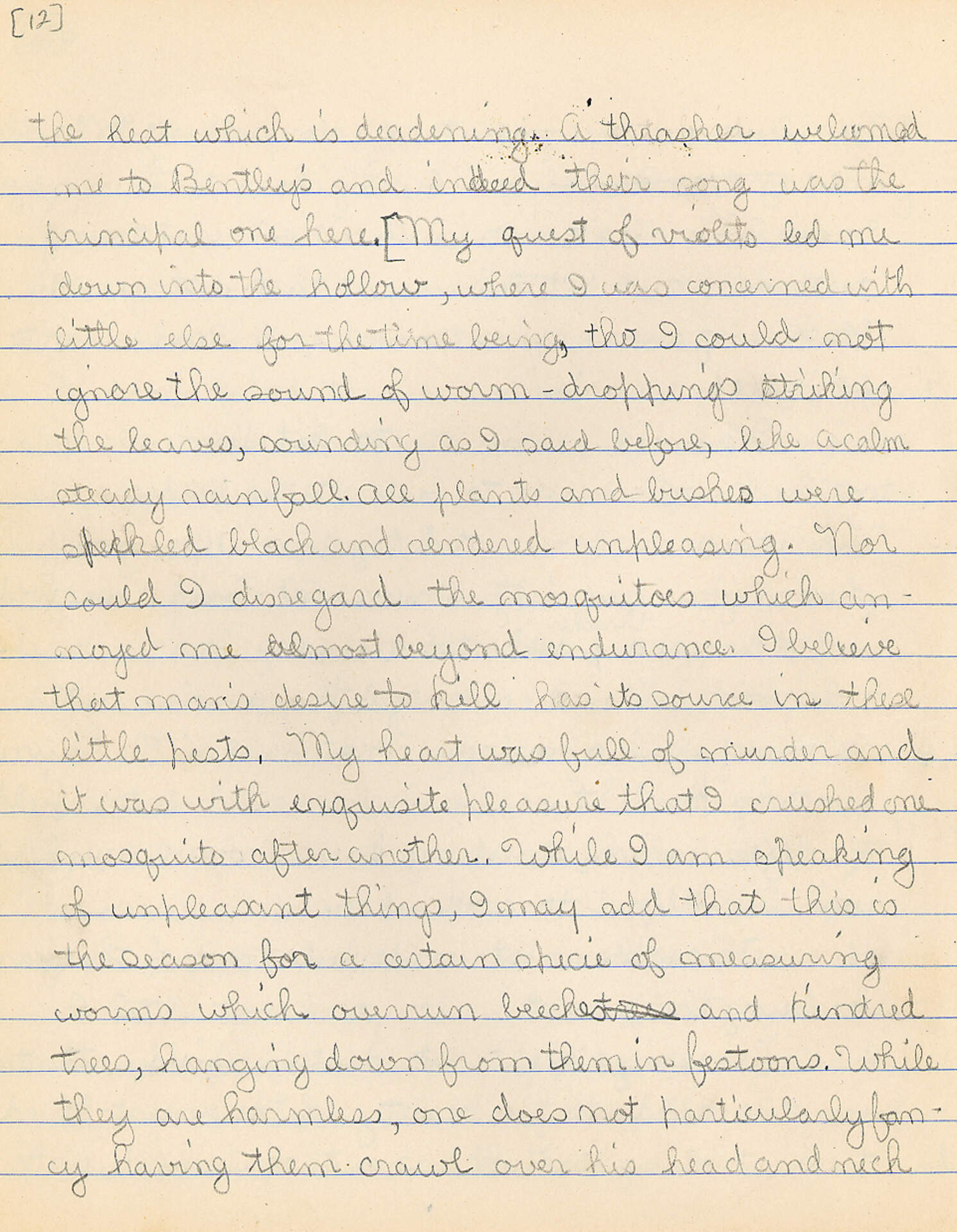 Untitled (Journal Pg 12)