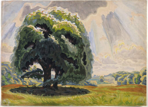 The Big Tree, C. E. B. [Foundation] no. B-487 