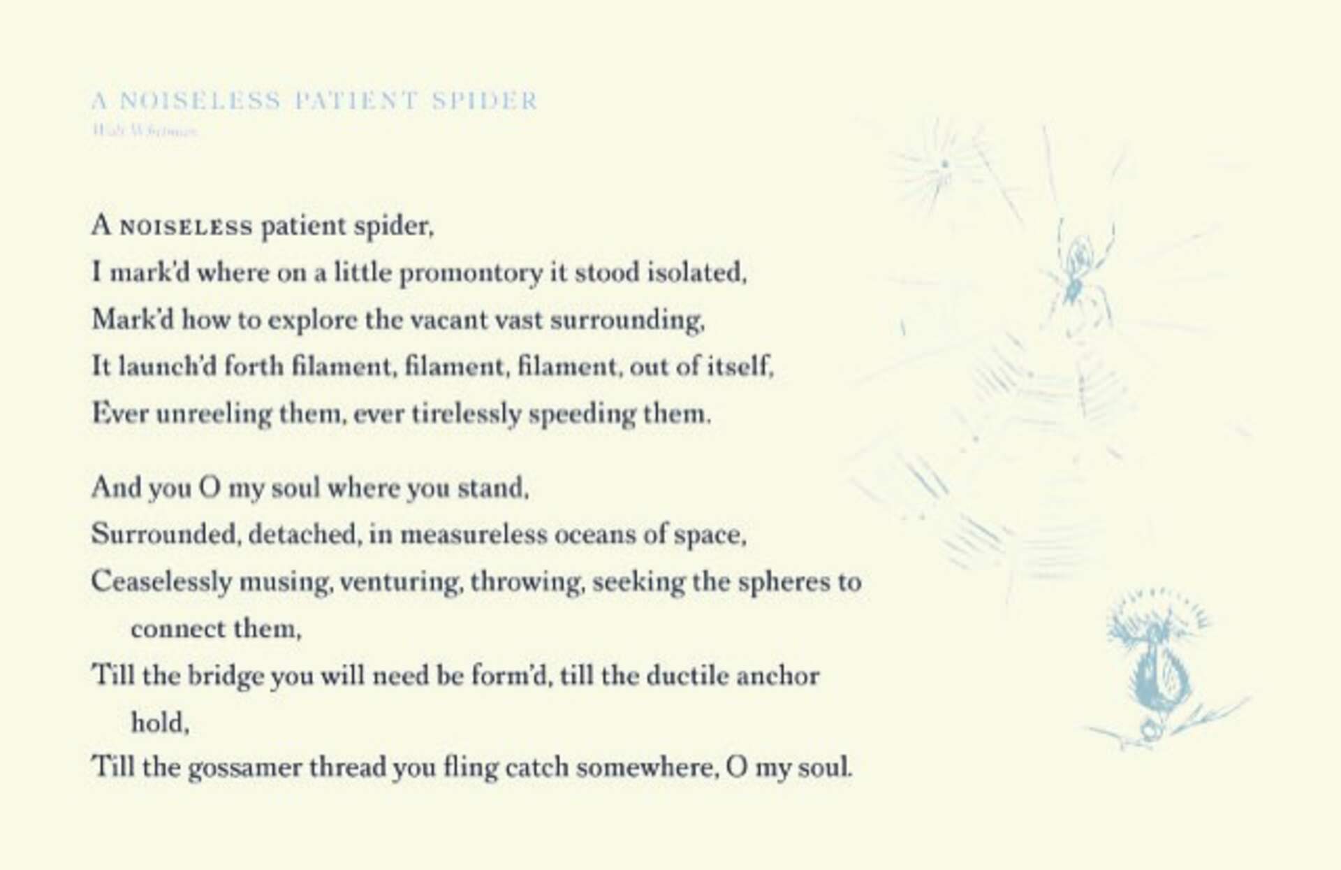 A Noiseless Patient Spider