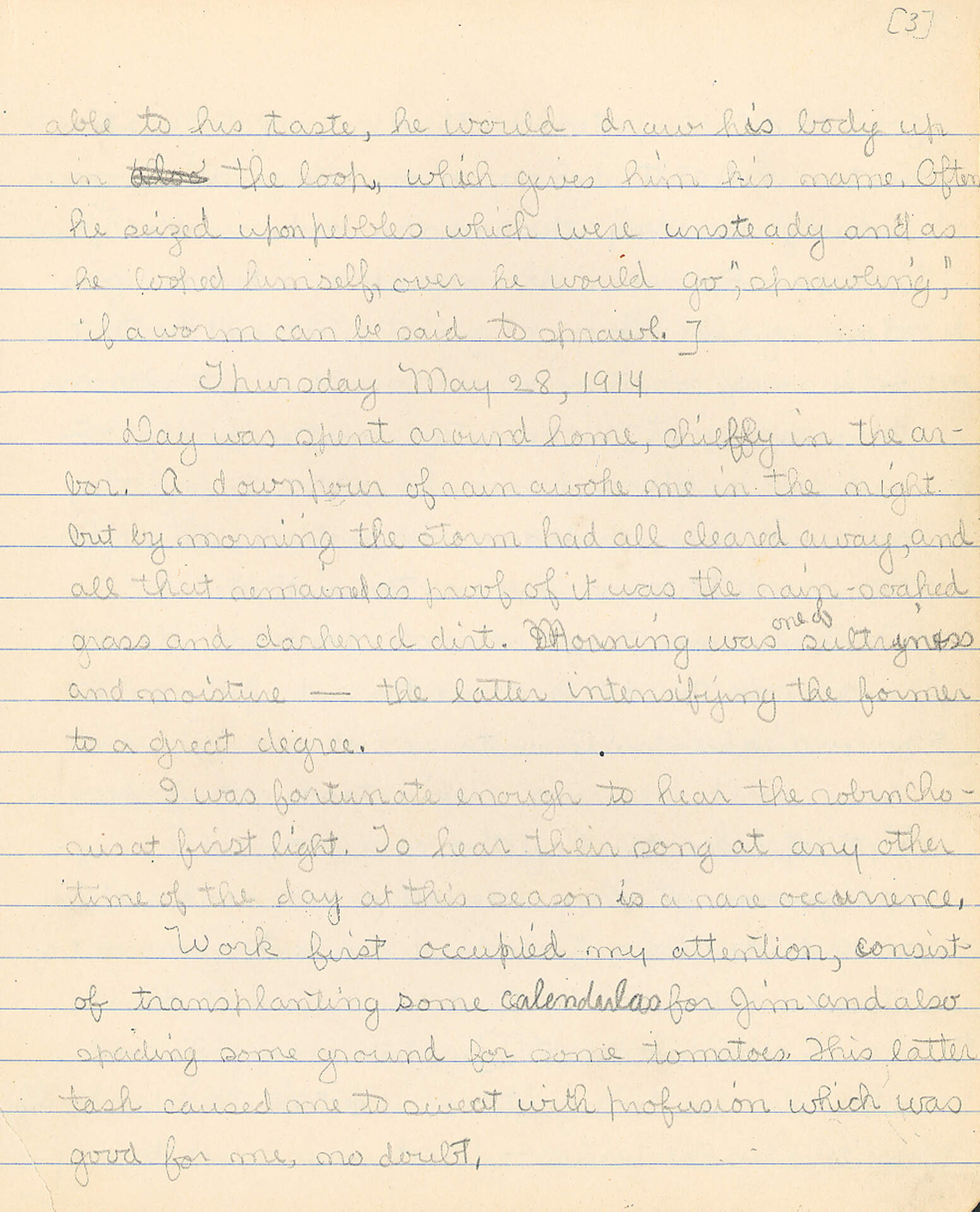 Untitled (Journal Pg 3)