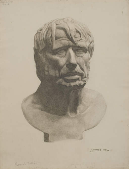 Bust