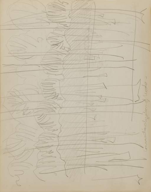 Untitled (sketch of woods)