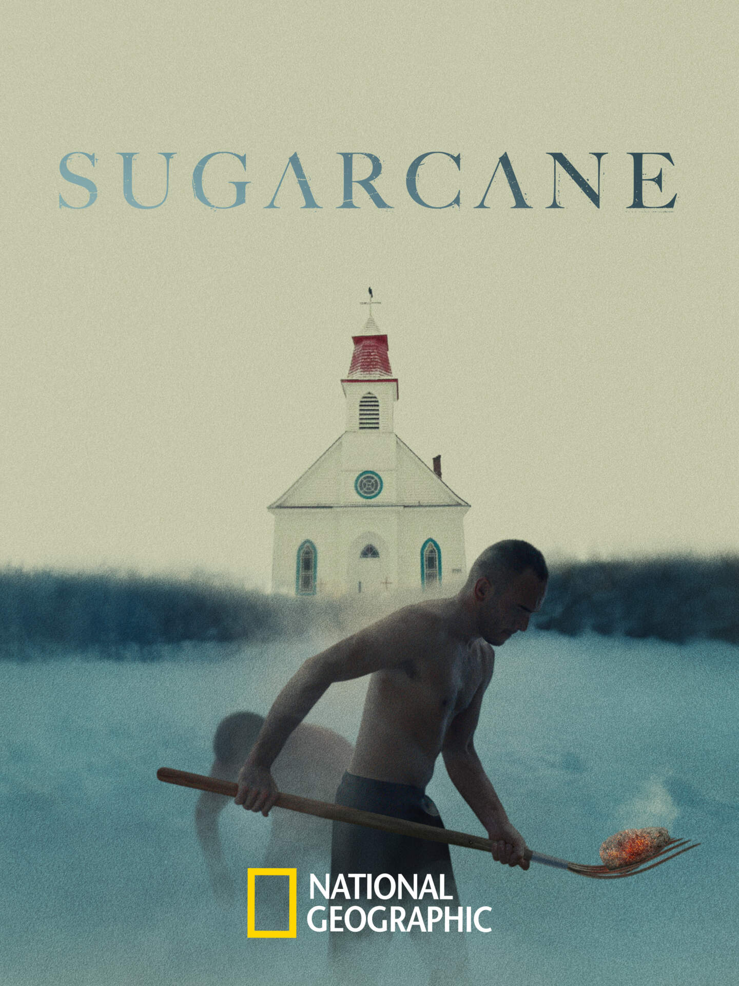 Beyond Boundaries : Sugarcane
