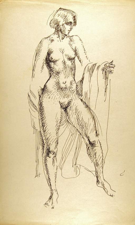 Female Nude with Drape in Back