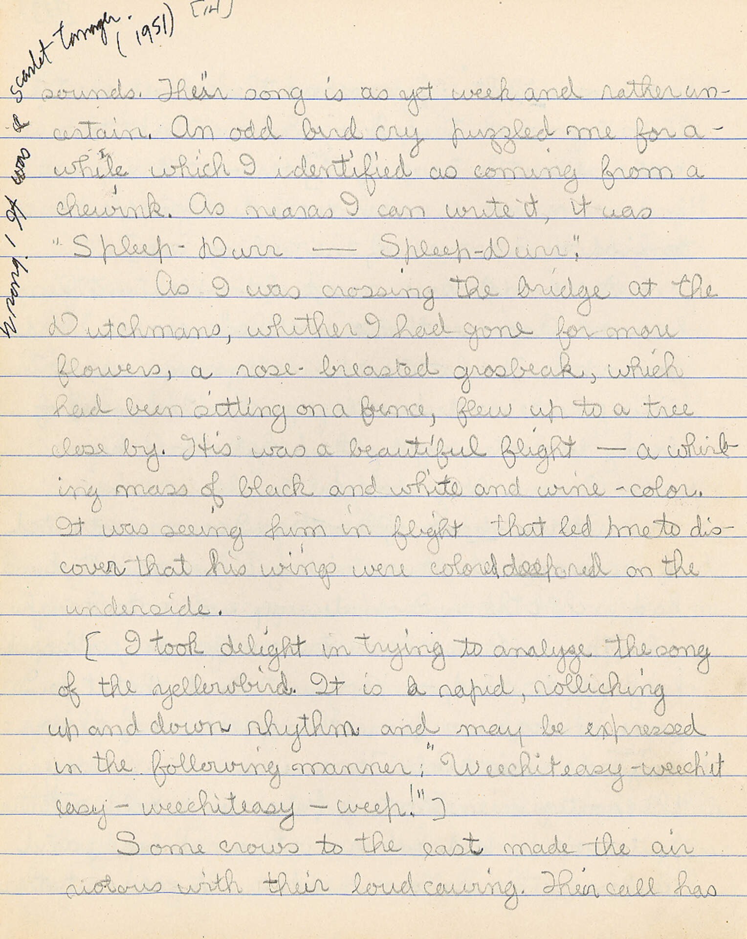 Untitled (Journal Pg 14)
